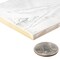 Andova Tiles SAMPLE-Thames 3 in. x 12 in. Ceramic Subway Tile SAM-ANDTHA940 - alternate 9